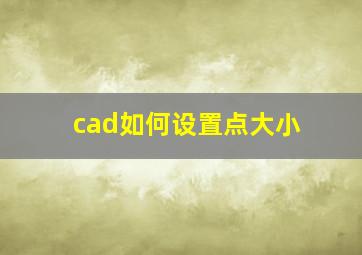 cad如何设置点大小