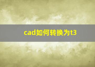 cad如何转换为t3