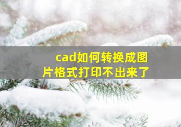 cad如何转换成图片格式打印不出来了