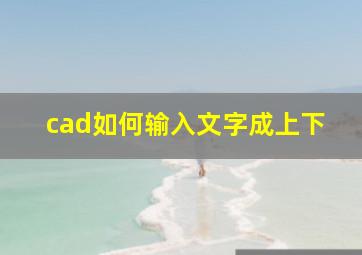 cad如何输入文字成上下