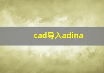 cad导入adina