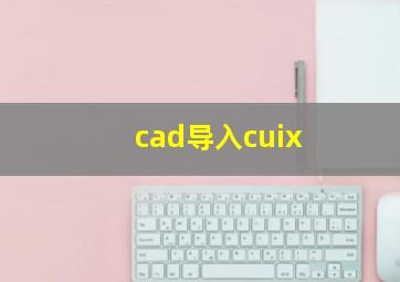 cad导入cuix