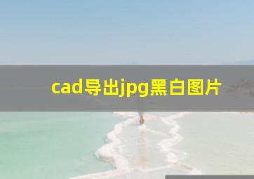 cad导出jpg黑白图片