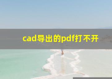 cad导出的pdf打不开