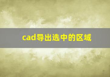 cad导出选中的区域