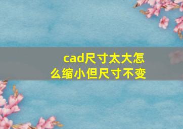 cad尺寸太大怎么缩小但尺寸不变