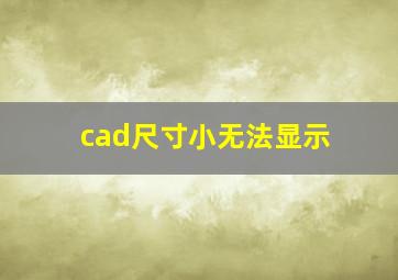 cad尺寸小无法显示