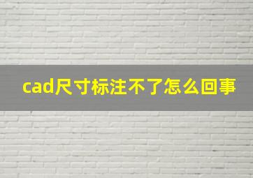 cad尺寸标注不了怎么回事