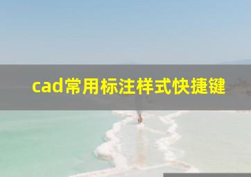 cad常用标注样式快捷键