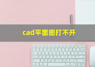 cad平面图打不开