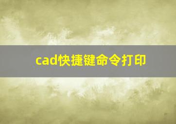 cad快捷键命令打印