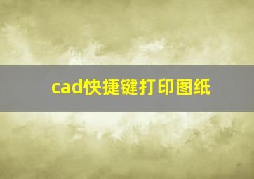 cad快捷键打印图纸