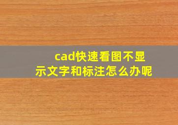 cad快速看图不显示文字和标注怎么办呢