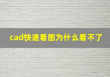 cad快速看图为什么看不了