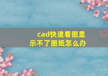 cad快速看图显示不了图纸怎么办