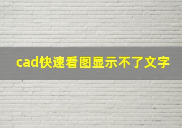 cad快速看图显示不了文字