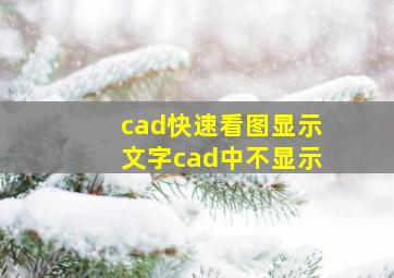 cad快速看图显示文字cad中不显示