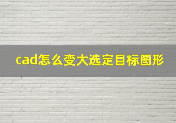 cad怎么变大选定目标图形