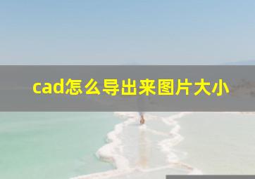 cad怎么导出来图片大小