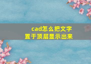 cad怎么把文字置于顶层显示出来