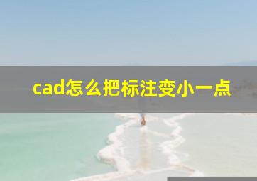 cad怎么把标注变小一点