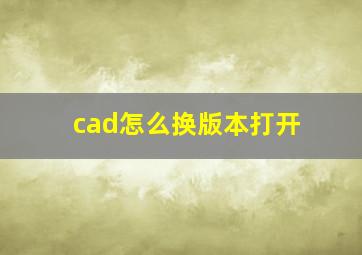 cad怎么换版本打开