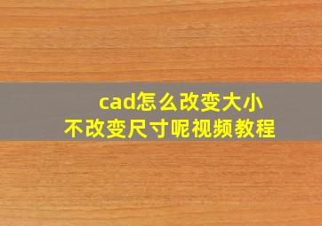 cad怎么改变大小不改变尺寸呢视频教程