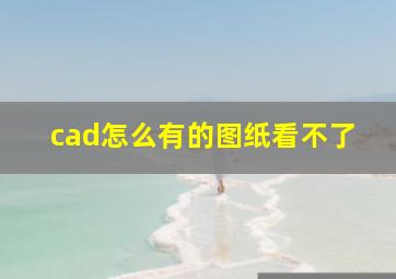 cad怎么有的图纸看不了