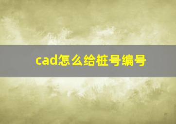 cad怎么给桩号编号