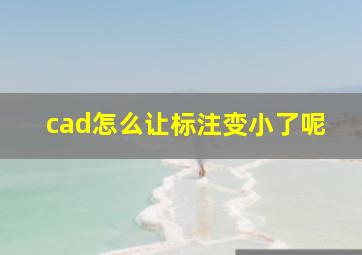 cad怎么让标注变小了呢