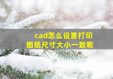 cad怎么设置打印图纸尺寸大小一致呢