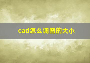 cad怎么调图的大小