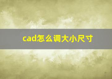 cad怎么调大小尺寸