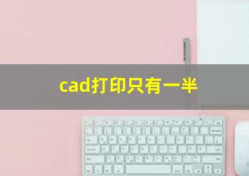 cad打印只有一半