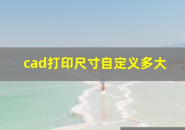 cad打印尺寸自定义多大