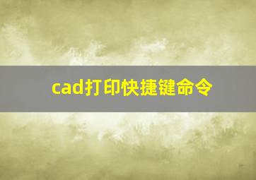 cad打印快捷键命令