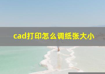 cad打印怎么调纸张大小