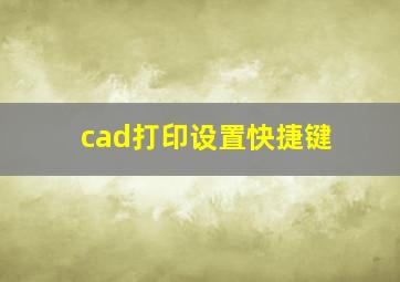 cad打印设置快捷键