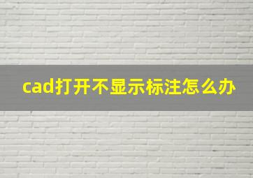 cad打开不显示标注怎么办