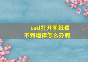 cad打开图纸看不到墙体怎么办呢