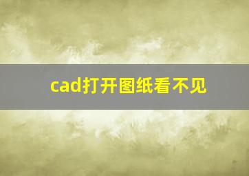 cad打开图纸看不见