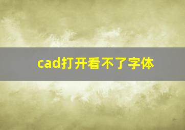 cad打开看不了字体