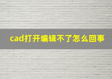 cad打开编辑不了怎么回事