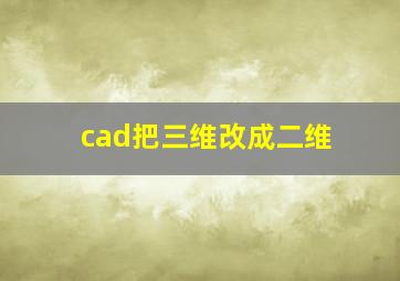 cad把三维改成二维