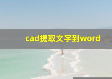 cad提取文字到word