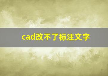 cad改不了标注文字