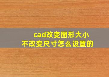 cad改变图形大小不改变尺寸怎么设置的