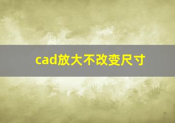 cad放大不改变尺寸