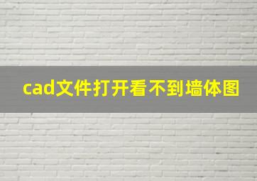 cad文件打开看不到墙体图