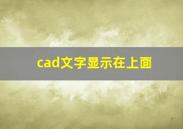 cad文字显示在上面